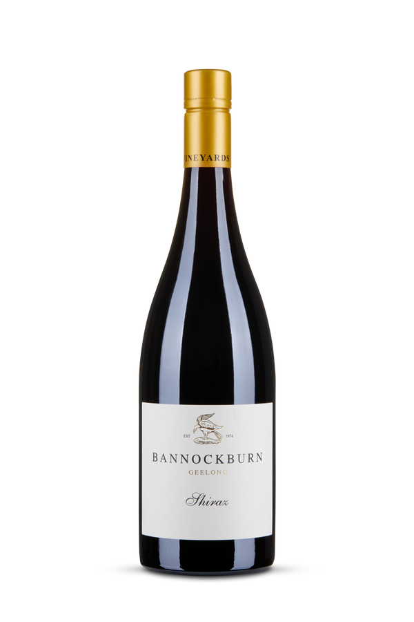 Shiraz 2013