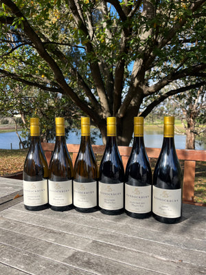 New Single Vineyard 2024 reviews by Campbell Mattinson