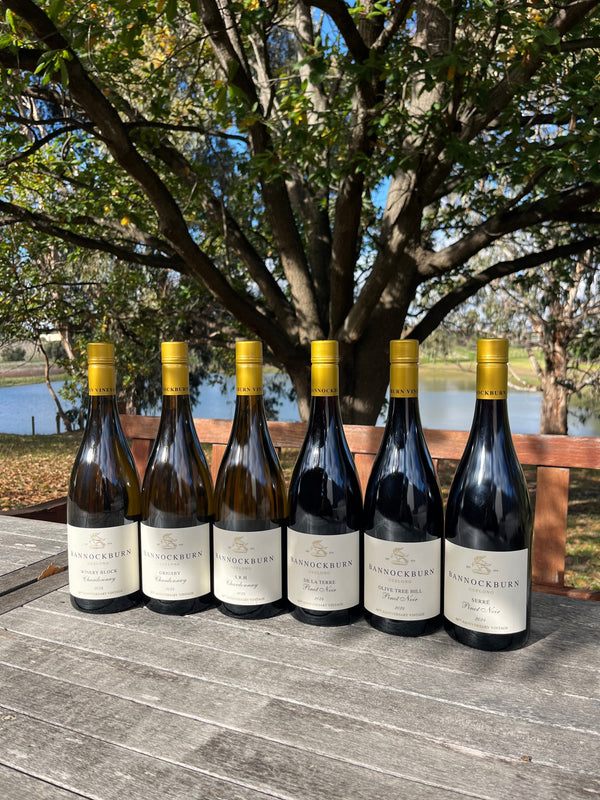 New Single Vineyard 2024 reviews by Campbell Mattinson