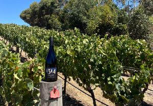 Summer Newsletter - 1314 Release