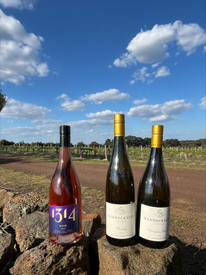 Spring Release - Riesling 24, Sauvignon Blanc 24, 1314 Rosé 2024